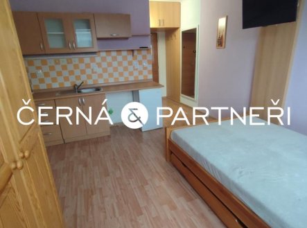 Pronájem bytu, 1+kk, 22,9 m²