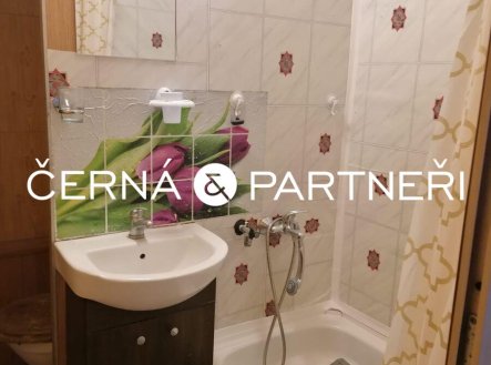 Prodej bytu, 1+kk, 31 m²