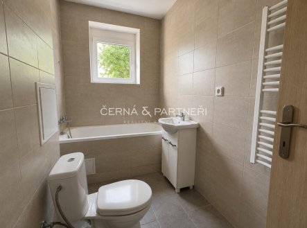 Pronájem bytu, 2+1, 48 m²