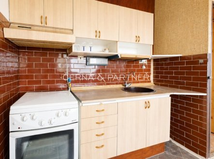 Prodej bytu, 1+1, 46 m²
