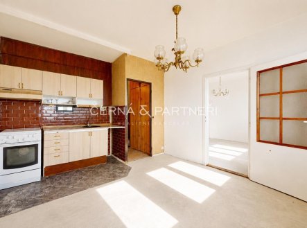 Prodej bytu, 1+1, 46 m²
