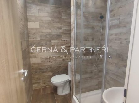 Pronájem bytu, garsoniéra, 20,7 m²