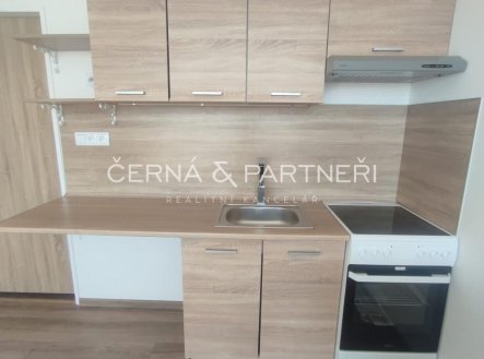 Pronájem bytu, garsoniéra, 20,7 m²