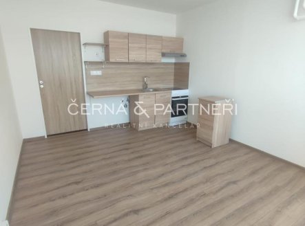 Pronájem bytu, garsoniéra, 20,7 m²