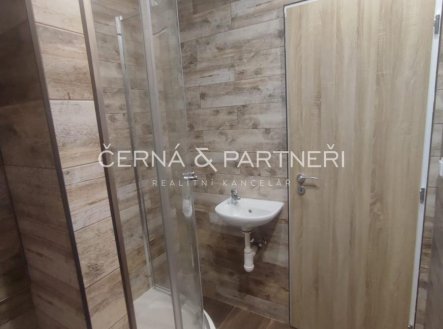 Pronájem bytu, garsoniéra, 20,7 m²