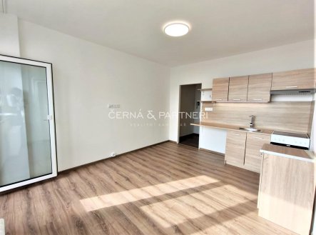 Pronájem bytu, garsoniéra, 20,7 m²