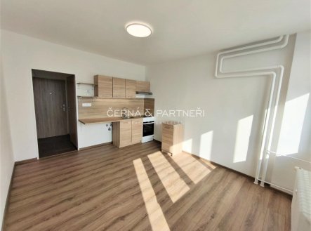 Pronájem bytu, garsoniéra, 20,7 m²