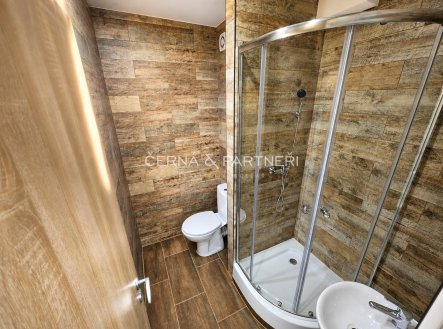 Pronájem bytu, garsoniéra, 20,7 m²