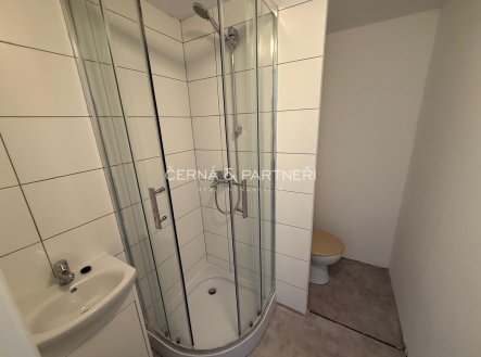 Pronájem bytu, 1+1, 37 m²