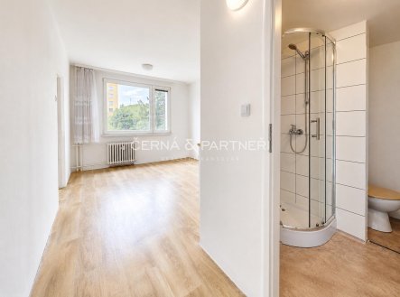 Pronájem bytu, 1+1, 37 m²