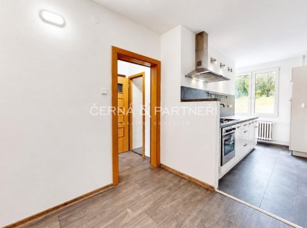 Pronájem bytu, 2+1, 49 m²