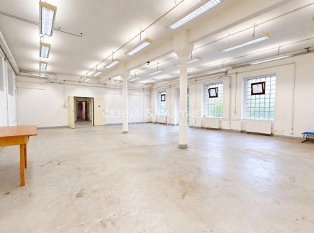 Pronájem výrobní prostory, 235 m²