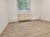 Pronájem bytu, 1+kk, 20 m²