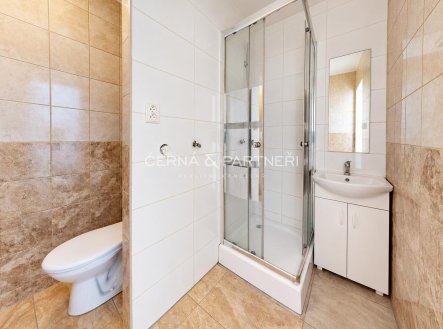 Pronájem bytu, garsoniéra, 21,5 m²