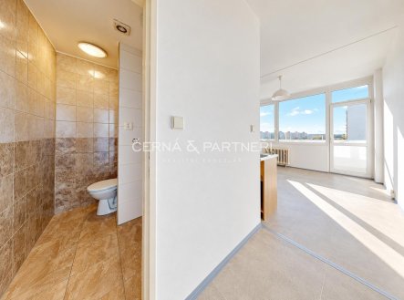 Pronájem bytu, garsoniéra, 21,5 m²