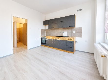 Pronájem bytu, 2+1, 56 m²