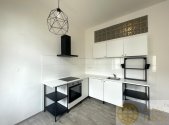 Pronájem bytu, 1+1, 50 m²