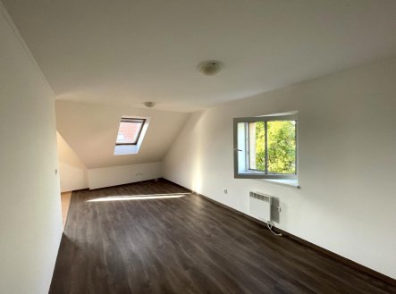 Pronájem bytu, 1+kk, 55 m²