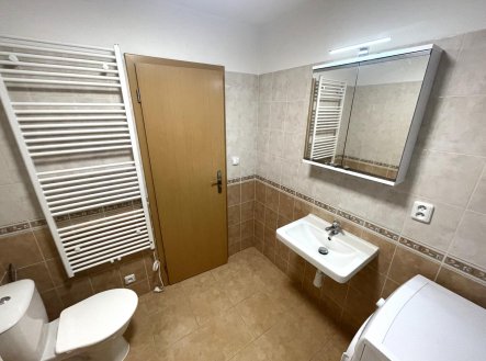 Pronájem bytu, 1+kk, 55 m²