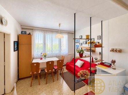 Prodej bytu, 1+1, 31 m²