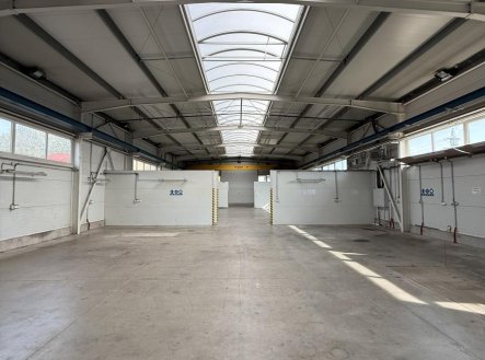 Pronájem skladu, 7 000 m²