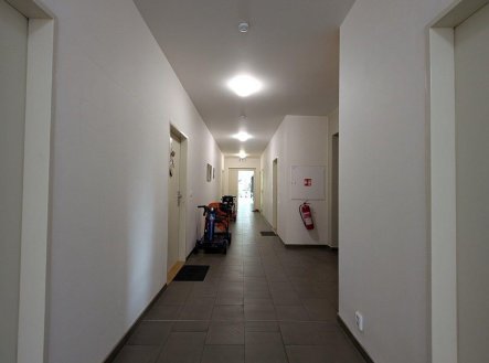Pronájem bytu, 1+kk, 41 m²
