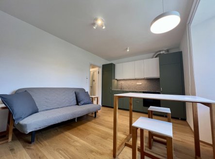 Pronájem bytu, 1+kk, 30 m²