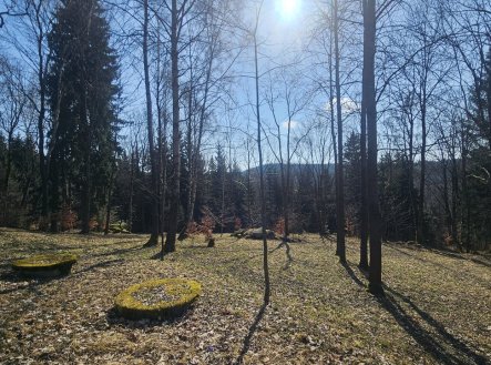 Prodej penzion, 635 m²