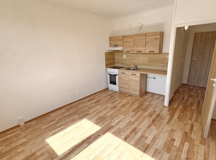Prodej bytu, garsoniéra, 22 m²