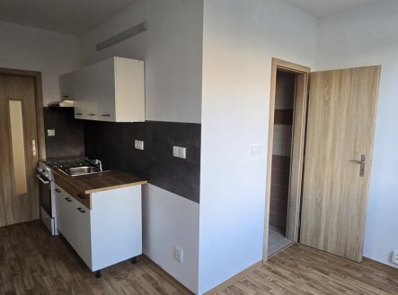 Pronájem bytu, 1+1, 47 m²
