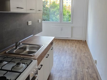 Pronájem bytu, 1+1, 47 m²