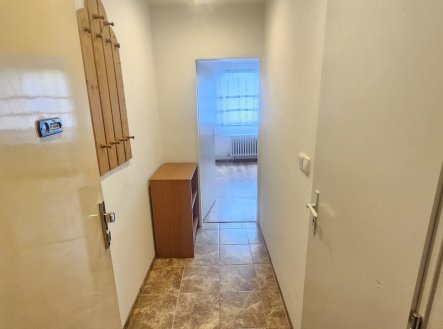 Pronájem bytu, garsoniéra, 19 m²