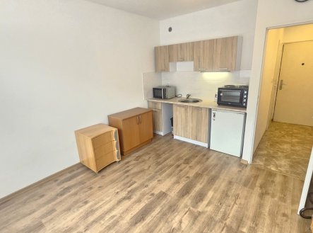 Pronájem bytu, garsoniéra, 19 m²