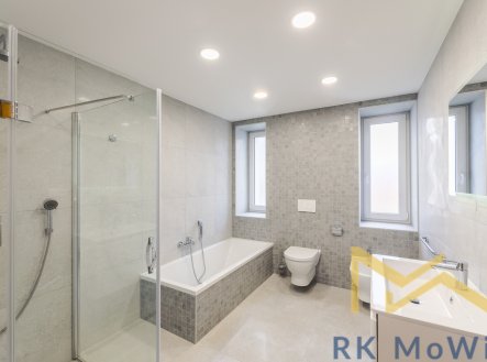 Pronájem domu/vily, 350 m²
