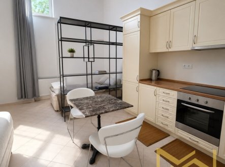 Pronájem bytu, 1+kk, 41 m²