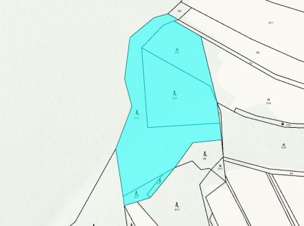 Prodej pozemku, les, 11 901 m²