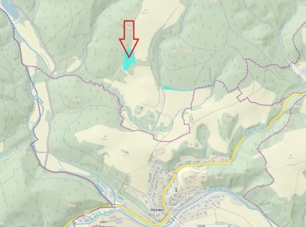 Prodej pozemku, les, 11 901 m²