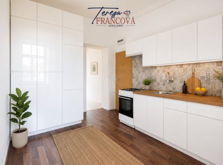 Pronájem bytu, 1+1, 41 m² obrázek