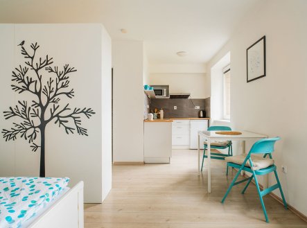 Prodej bytu, 1+kk, 30 m²