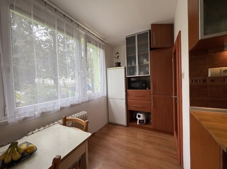 Pronájem bytu, 2+1, 53 m²
