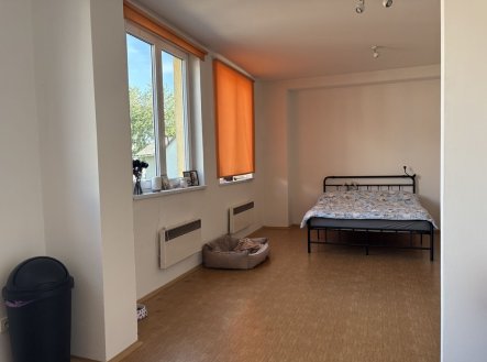 Pronájem bytu, 1+kk, 42 m²