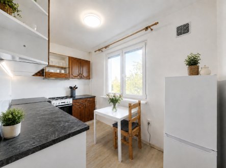 Prodej bytu, 3+1, 79 m²