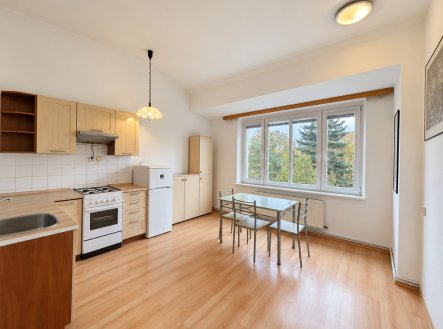 Pronájem bytu, 1+1, 45 m²