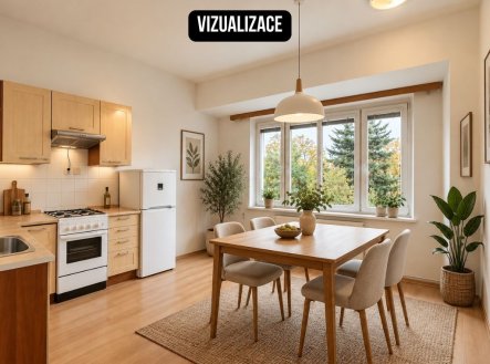 Pronájem bytu, 1+1, 45 m²