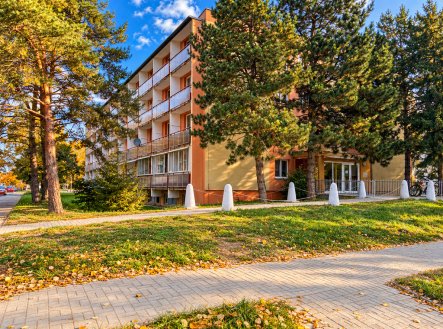 Prodej bytu, 1+kk, 30 m²