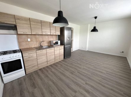 Pronájem bytu, 1+1, 51 m²