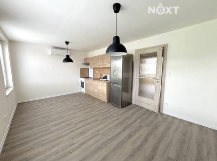 Pronájem bytu, 1+1, 51 m²