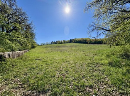 Prodej pozemku, zemědělská půda, 60 462 m²