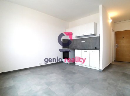 Pronájem bytu, 1+1, 33 m²