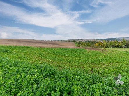 Prodej pozemku, zemědělská půda, 1 754 m²
